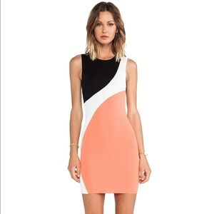Torn by Ronny Kobo sarita color block dress